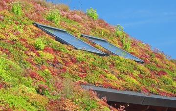 Llanfflewyn living roof systems